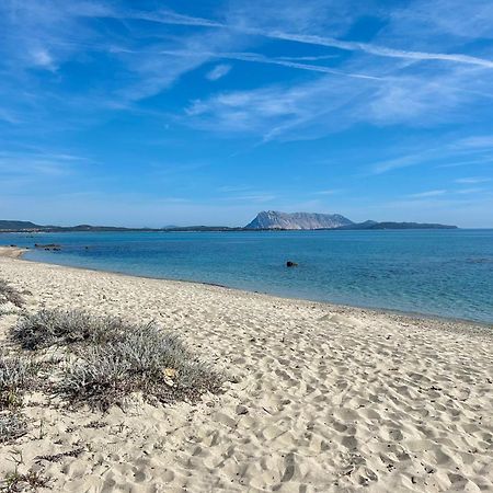Iss Travel, San Teodoro 1 - 100 M From Cala D'Ambra Beach Exteriör bild