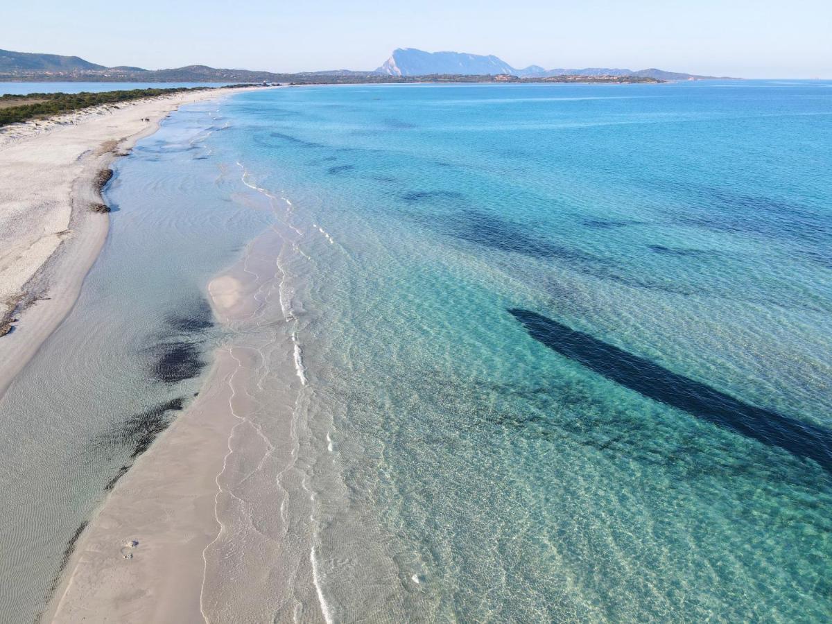 Iss Travel, San Teodoro 1 - 100 M From Cala D'Ambra Beach Exteriör bild
