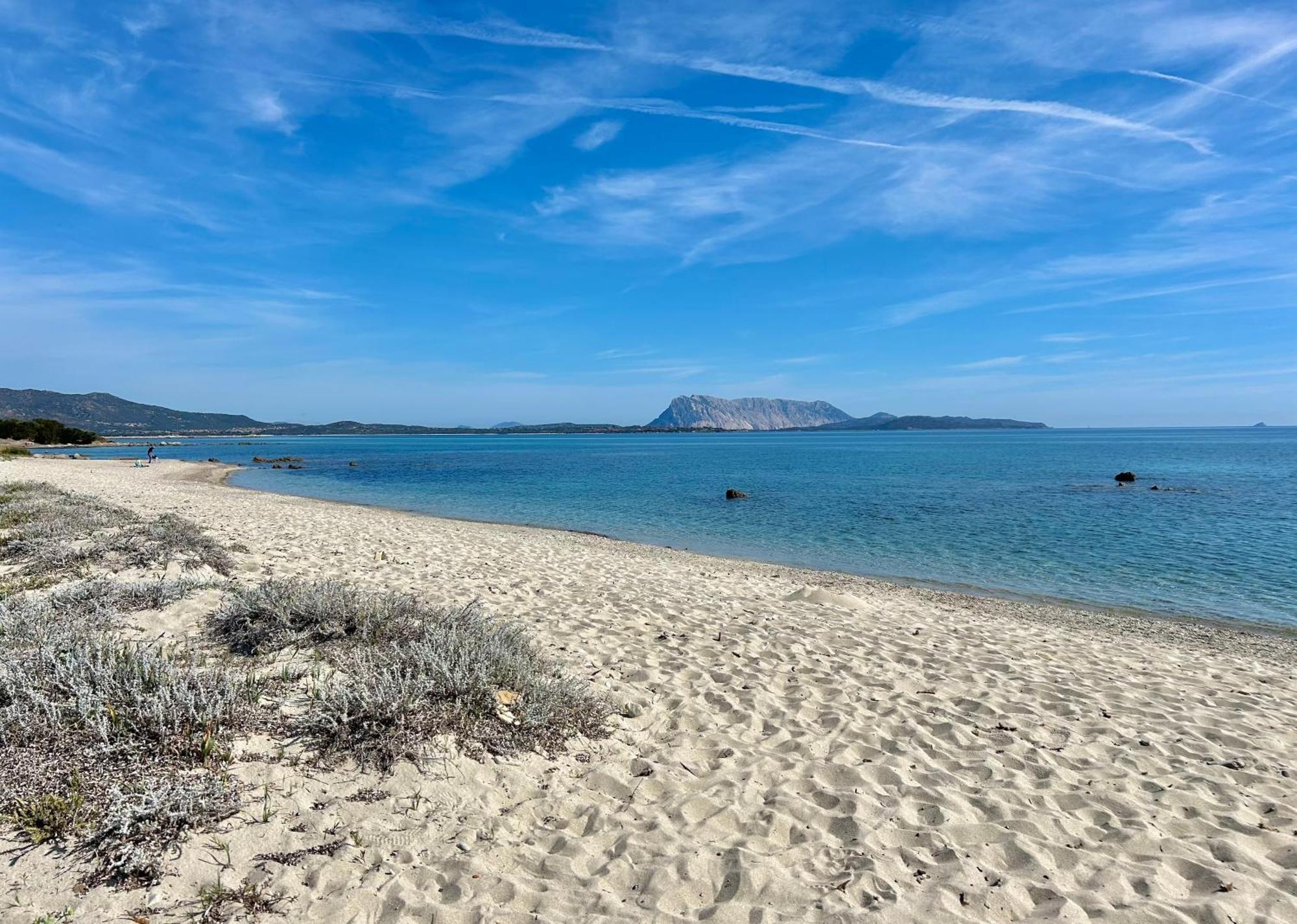 Iss Travel, San Teodoro 1 - 100 M From Cala D'Ambra Beach Exteriör bild